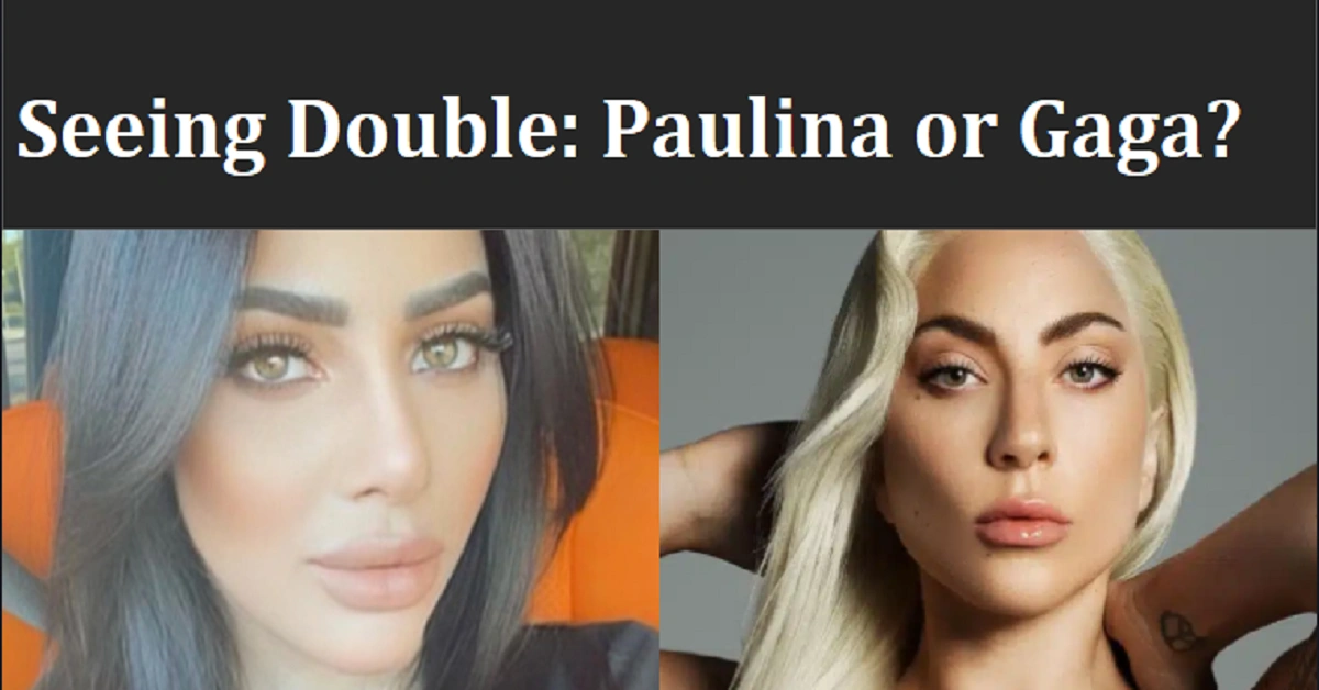 paulina ben-cohen net worth